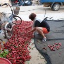 대수농장 이미지