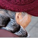 송정시장 이미지