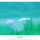 명우목장 네이버블로그