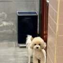 멍팰리스 이미지