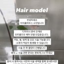 더이룸 헤어 이미지