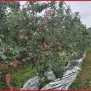 엘지농원 이미지