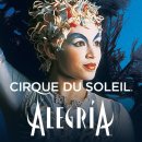 Querer (좋아합니다) - Cirque Du Soleil 이미지