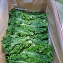 맛있는 지리산 흥부골 청상추 2키로 13,000원 , 택포 이미지