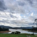 리스바베큐