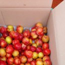 이가네농장 이미지