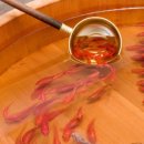 금붕어PC 이미지