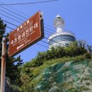 2024년 갑진년 해맞이행사 이미지