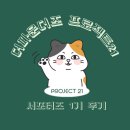 D&C동물병원 | 더파운더즈 프로젝트21 서포터즈 1기 후기 [프로텍터]