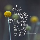 김*엽 이미지