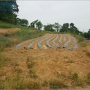 봉소2리마을회관 이미지