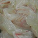 완도수산야채막회 이미지