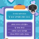 블루베어동물병원 이미지