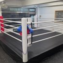 이장선 팀복싱(산성역점) | 오산복싱 새로운 링에서 더욱 즐거웠던 이장선팀복싱 후기 🥊