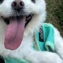 신트리공원 축구장 이미지