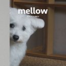 책과커피 이미지