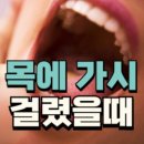 법인두가시