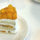 [ 마산ㅣ카페올두(ALLDO) ] 시즌별 트렌디한 케이크가 있는 카페