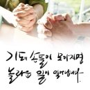 장군약국 이미지