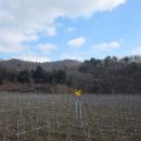 도일농장 이미지