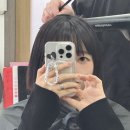 경기도 수원시 영통구 매탄로 매탄로37번길 | 매탄권선역 미용실 추천 브라운 염색 단발 레이어드컷 후기, 매탄동 데이지헤어