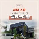 골드문 | 세부 막탄 마사지 골드문스파 픽드랍 예약 할인방법 후기