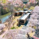 경주솔거미술관 이미지