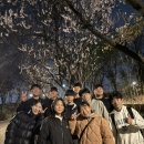 강철태권도 이미지