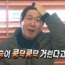 봄 유도관 이미지