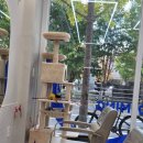 그루밍리본 | 경산 압량 미용실 그루밍 헤어에서 함께 예뻐져요.