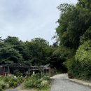 봉산메밀막국수 이미지