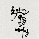 캘리그라피 티스토리