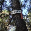신당1리 이미지
