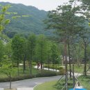 화명수목원 Daum카페