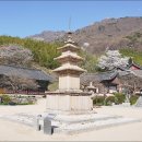 표충사 - 1903 | 표충사