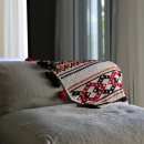 코스타리몬 이미지