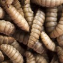 나온농장 이미지