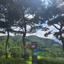 백제골프클럽 | [충북 충주] 중원 골프클럽 고구려 백제 코스 8월 라운드 후기