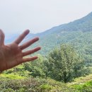 국도 32호선 이팝나무 | 하동 구재봉 자연휴양림 트리하우스 1박과 모노레일 탑승후기
