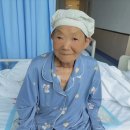 형제안과 이미지