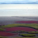 순천만그리고나 이미지