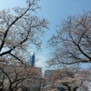 미토센