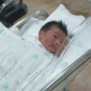 [출산일기] 제왕 2일차_걸어서 아기보고오기+가스+식사함!