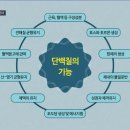 휴메이크 휘트니스 이미지