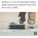 아베 자는중인가봐 활력징후 없대 이미지