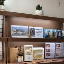 묵호 1박 2일 뚜벅이 혼자여행 | 논골담길, 도째비골, 삼본아파트, 어달해변, 라운드어바웃