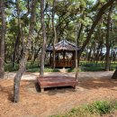 송림테마거리 이미지