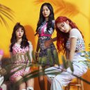 에이리얼 카카오 검색결과