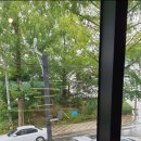 손만듀