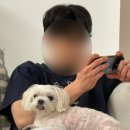 게배달다산점 이미지